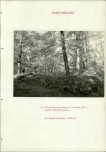 EP - Ewidencja parkowa, skan nr 198
