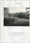 EP - Ewidencja parkowa, skan nr 217