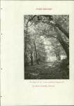 EP - Ewidencja parkowa, skan nr 224