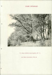 EP - Ewidencja parkowa, skan nr 227