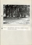EP - Ewidencja parkowa, skan nr 82