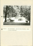 EP - Ewidencja parkowa, skan nr 87