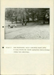 EP - Ewidencja parkowa, skan nr 89