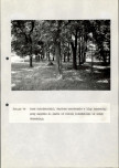 EP - Ewidencja parkowa, skan nr 92