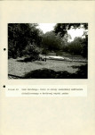EP - Ewidencja parkowa, skan nr 101