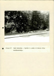EP - Ewidencja parkowa, skan nr 105