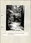 EP - Ewidencja parkowa, skan nr 107