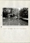 EP - Ewidencja parkowa, skan nr 108