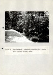 EP - Ewidencja parkowa, skan nr 110