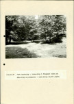 EP - Ewidencja parkowa, skan nr 116