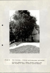 EP - Ewidencja parkowa, skan nr 119