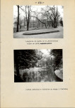 EP - Ewidencja parkowa, skan nr 102
