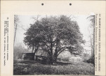 EP - Ewidencja parkowa, skan nr 107