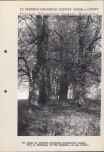 EP - Ewidencja parkowa, skan nr 115