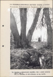 EP - Ewidencja parkowa, skan nr 117