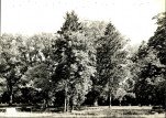 EP - Ewidencja parkowa, skan nr 84