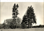 EP - Ewidencja parkowa, skan nr 96