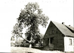 EP - Ewidencja parkowa, skan nr 108