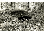 EP - Ewidencja parkowa, skan nr 116