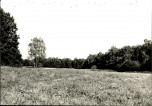 EP - Ewidencja parkowa, skan nr 130