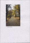 EP - Ewidencja parkowa, skan nr 30