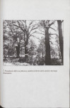 EP - Ewidencja parkowa, skan nr 67