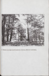 EP - Ewidencja parkowa, skan nr 68