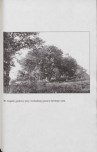 EP - Ewidencja parkowa, skan nr 80