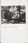 EP - Ewidencja parkowa, skan nr 89