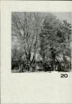 EP - Ewidencja parkowa, skan nr 143