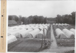 EP - Ewidencja parkowa, skan nr 81