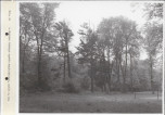 EP - Ewidencja parkowa, skan nr 107