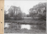 EP - Ewidencja parkowa, skan nr 116