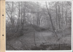EP - Ewidencja parkowa, skan nr 118
