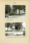 EP - Ewidencja parkowa, skan nr 104