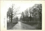EP - Ewidencja parkowa, skan nr 74