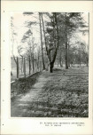 EP - Ewidencja parkowa, skan nr 77