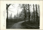 EP - Ewidencja parkowa, skan nr 95