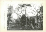 EP - Ewidencja parkowa, skan nr 103