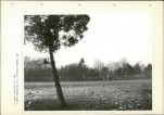 EP - Ewidencja parkowa, skan nr 104