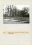 EP - Ewidencja parkowa, skan nr 61