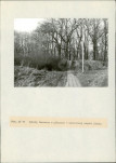 EP - Ewidencja parkowa, skan nr 67