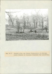 EP - Ewidencja parkowa, skan nr 73