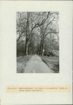 EP - Ewidencja parkowa, skan nr 78