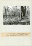 EP - Ewidencja parkowa, skan nr 79