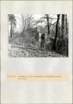 EP - Ewidencja parkowa, skan nr 83
