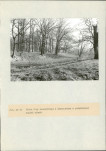 EP - Ewidencja parkowa, skan nr 84