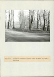EP - Ewidencja parkowa, skan nr 88