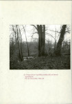 EP - Ewidencja parkowa, skan nr 88