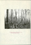 EP - Ewidencja parkowa, skan nr 97